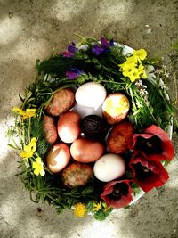 High angle view of vegetables in grass