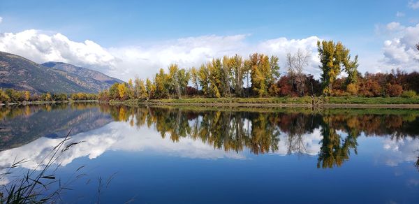 Reflection of trees in lake against sky