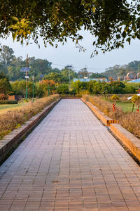 Footpath amidst trees against sky