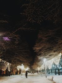 People walking on street in city during winter at night