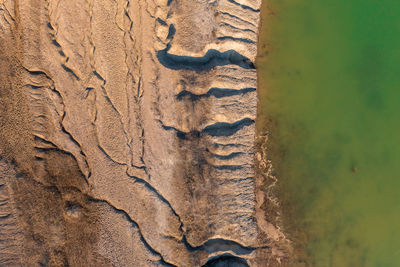 High angle view of a tree trunk on sand