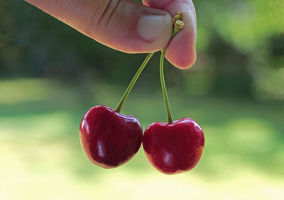 Close-up of hand holding strawberry