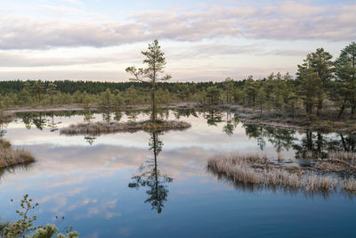 Lake at viru raba or bog swamp at lahemaa national park in autumn