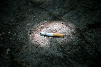 Close-up of cigarette smoking on road