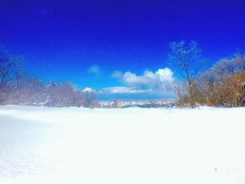 Scenic view of snow covered field