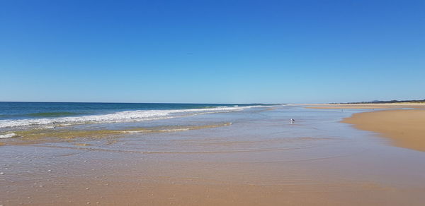 Scenic view of beach against clear blue sky