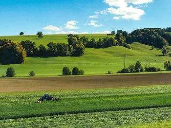 Scenic view of agricultural field against sky