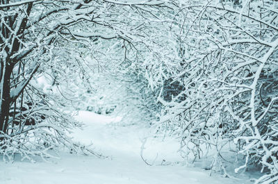 Full frame shot of frozen glass window during winter