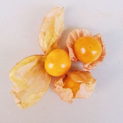 Close-up of fruits against white background