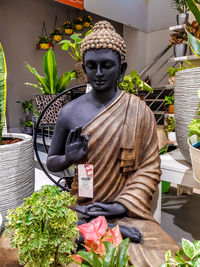 Statue of potted plants