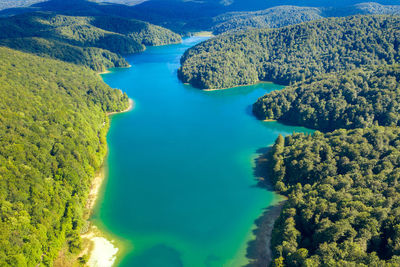 High angle view of sea and trees