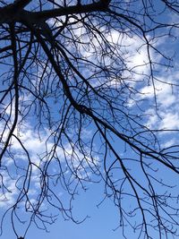 Low angle view of bare trees against sky