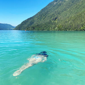 Scenic view of sea against clear blue sky