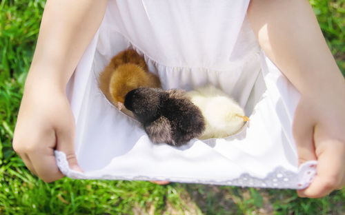 Midsection of woman holding cat