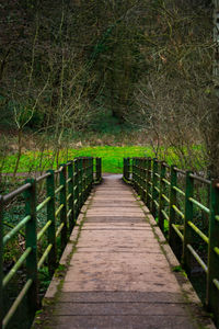 View of footbridge in forest