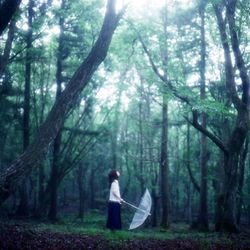 Rear view of people walking in forest