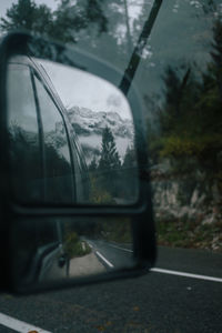 Reflection of trees on side-view mirror