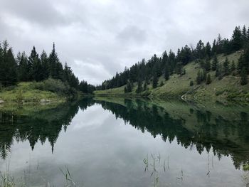 Scenic view of lake by trees against sky