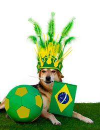 soccer