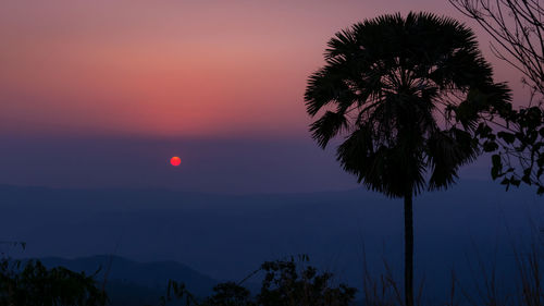 Silhouette palm tree against romantic sky at sunset