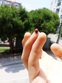 Close-up of butterfly on hand