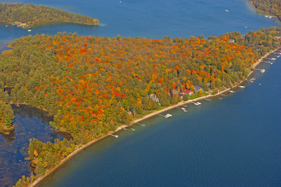 High angle view of flowering plants by lake during autumn