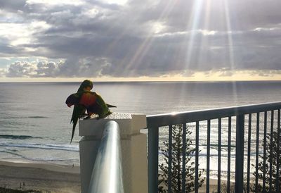 Rear view of man looking at sea against sky