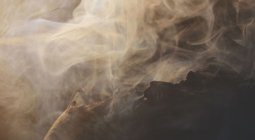 Close-up of smoke on rock