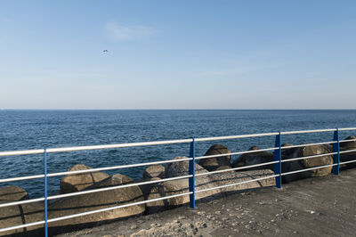 Scenic view of bird flying over sea against sky