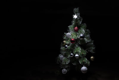 Illuminated christmas tree at night