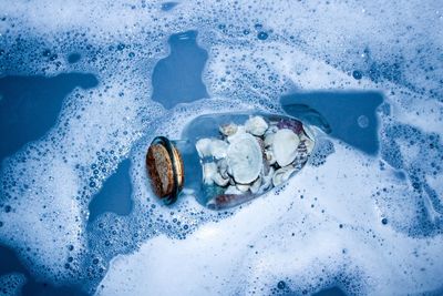 High angle view of seashells in glass jar on shore at beach