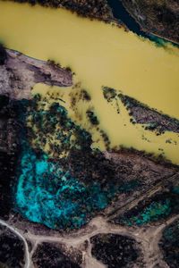 Close-up of yellow water