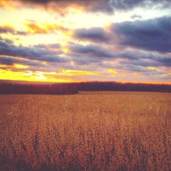 Scenic view of field against cloudy sky