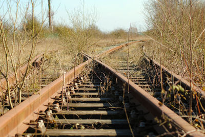 Surface level of railroad tracks on field against sky