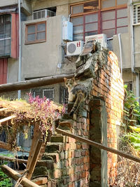 Low angle view of statue by building