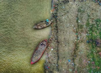 High angle view of turtle in water