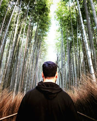 Rear view of man in forest