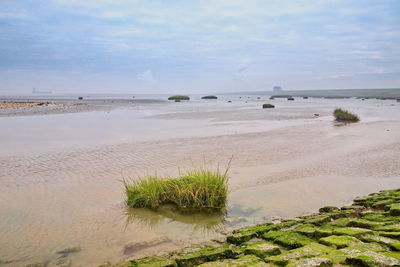 Scenic view of beach against sky