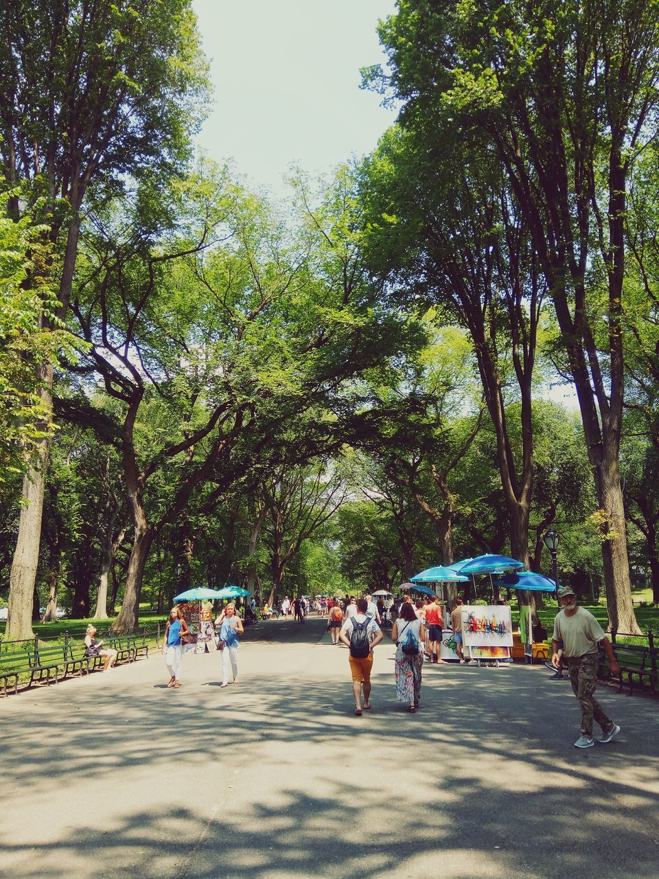 PEOPLE WALKING ON ROAD IN PARK