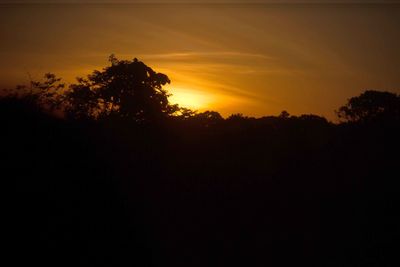 Silhouette trees against sky during sunset