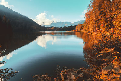 Scenic view of lake by trees against sky