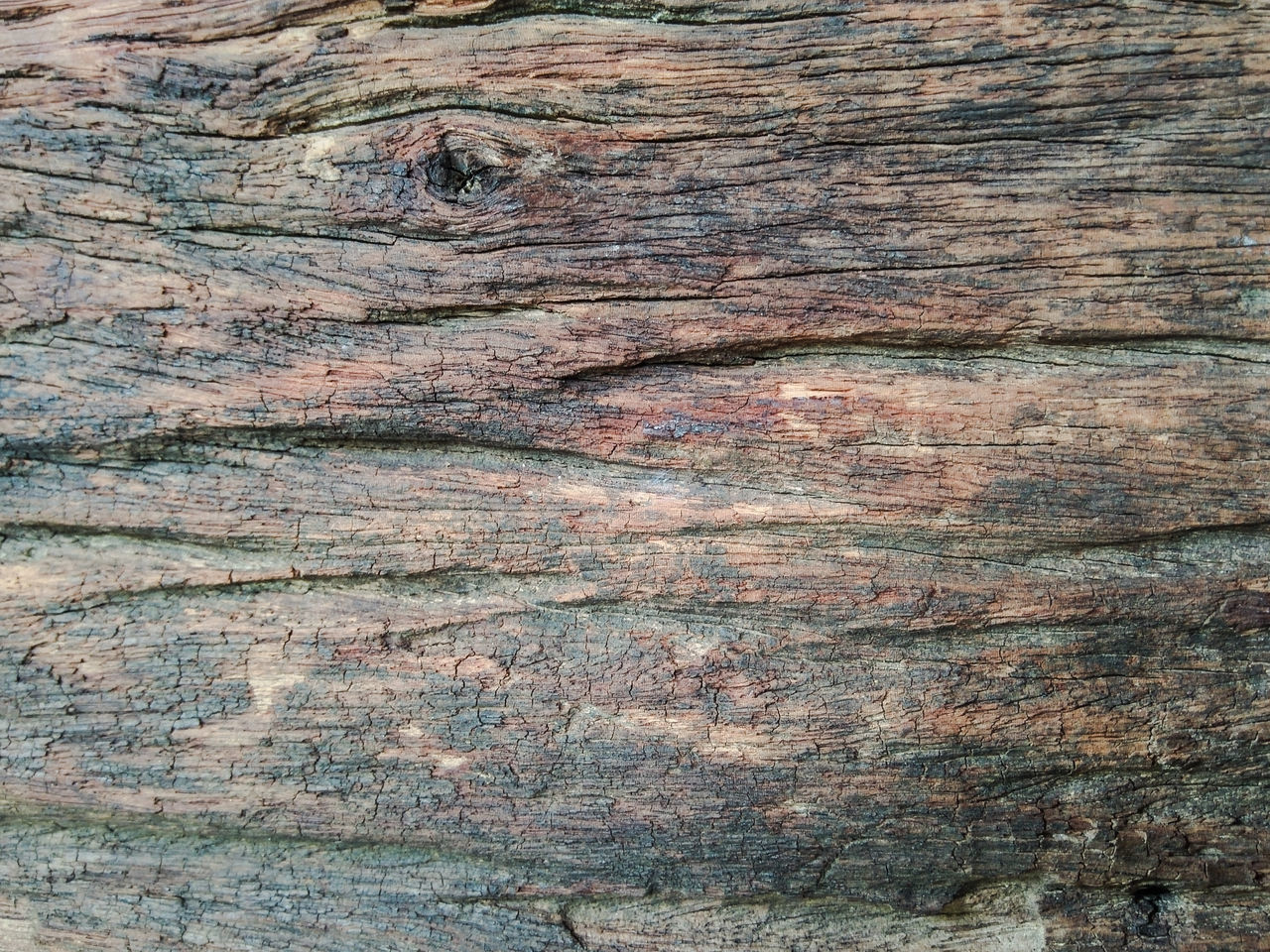 FULL FRAME SHOT OF OLD TREE TRUNK