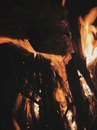 Low angle view of fire on log at night