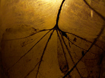 Detail shot of yellow surface