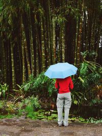 Rear view of man standing in forest