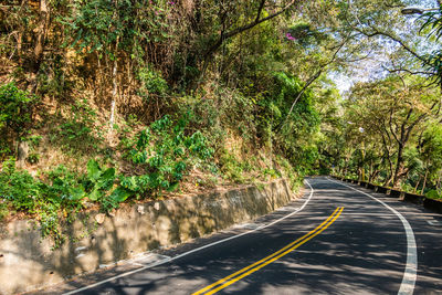 Empty road amidst trees