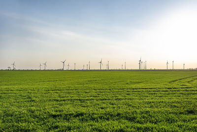 Wind turbines for the production of electricity from wind in a field in western germany.