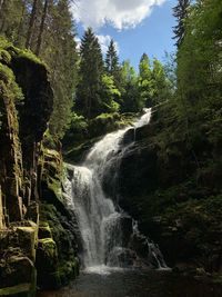 Scenic view of waterfall in forest