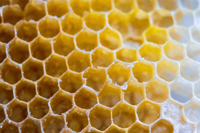 Detail honeycomb