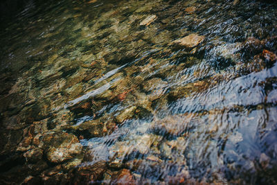 Full frame shot of rock in water